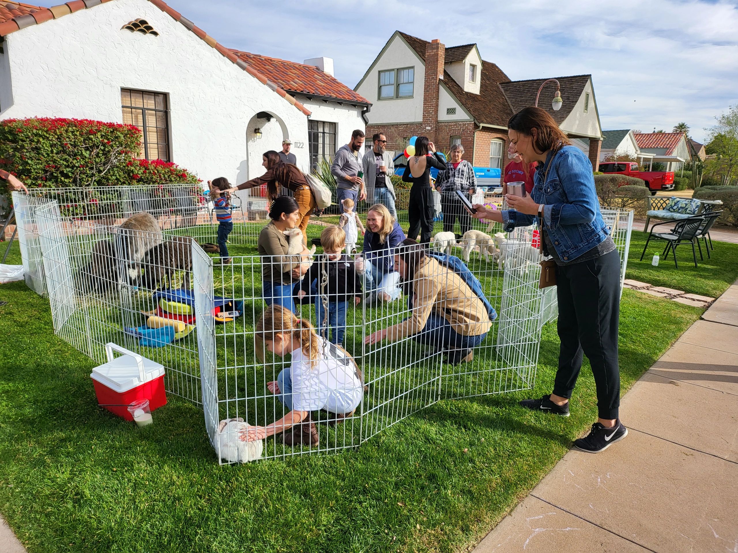 cheap mobile petting zoo near me